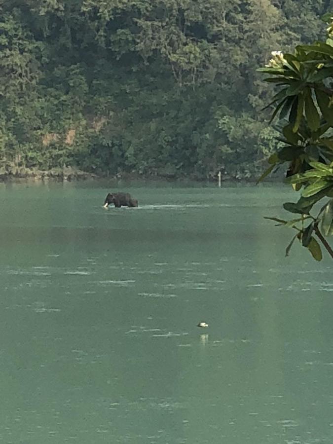 Ganga Forest View Rishīkesh Exteriör bild